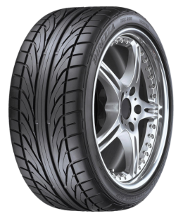 Шина Dunlop Direzza DZ101