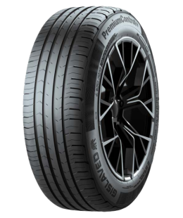 Шина Gislaved PremiumControl