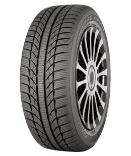 Шина GT Radial Champiro Winterpro
