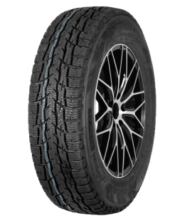 Шина IKON (NOKIAN TYRES) AUTOGRAPH SNOW C3