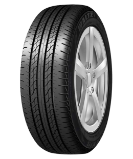 Шина Maxxis Waltz MS1