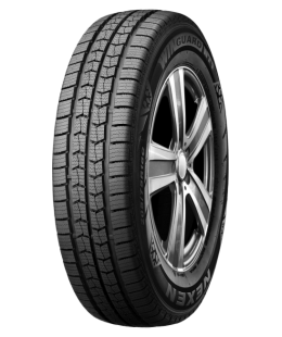 Шина Nexen Winguard WT1
