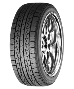 Шина Roadstone WinGuard Ice