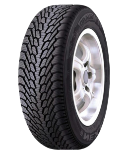 Шина Roadstone Winguard